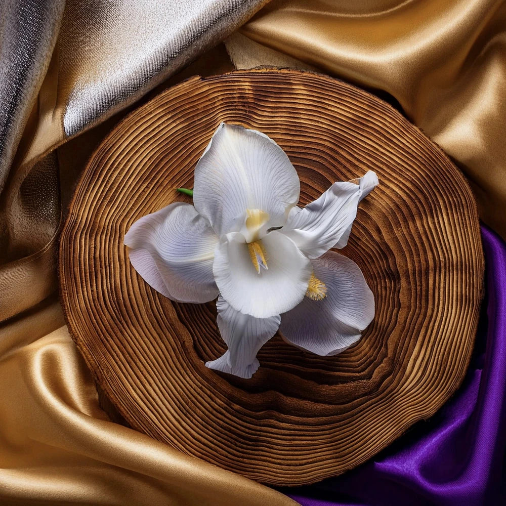Bois d'argent pas cher inspiration imitation bois d'or marché des fragrances