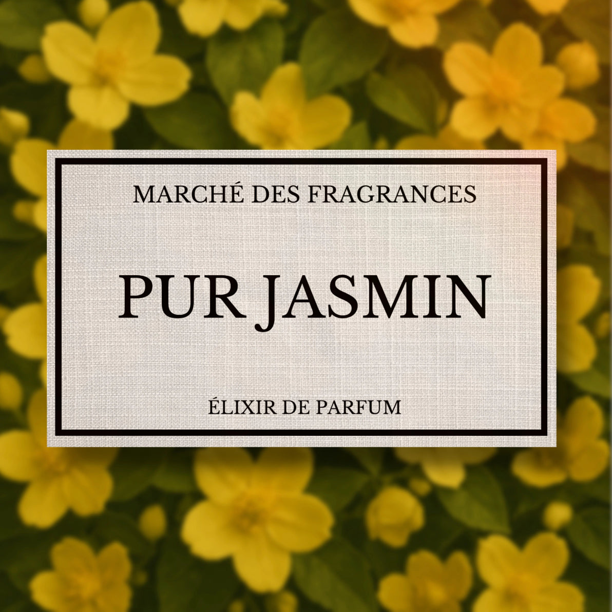 Pur_jasmin_marg_des_fragrances_dupes_et_inspiration_pas_cher