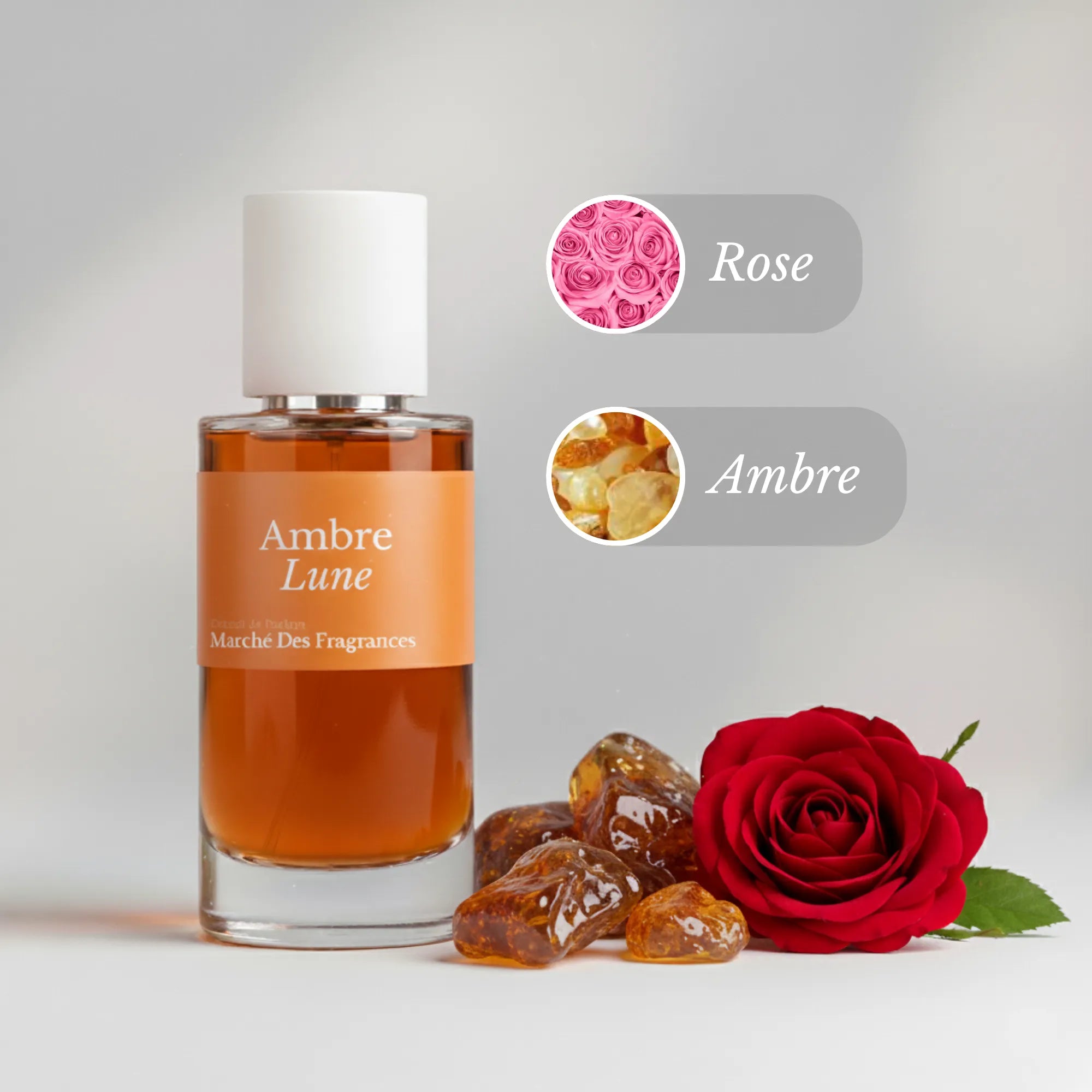 Ingredient composition Ambre Nuit dior dupes inspiration parfum pas cher