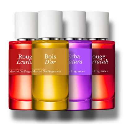 <p>Le choix <em>ultime</em></p>